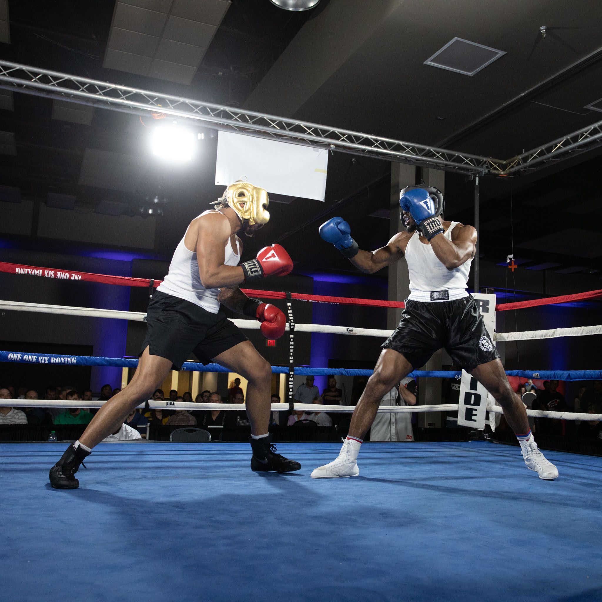 Boxers Fight Night